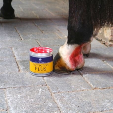 PROTECTION PLUS (Carr & Day & Martin) - Miniatura 2