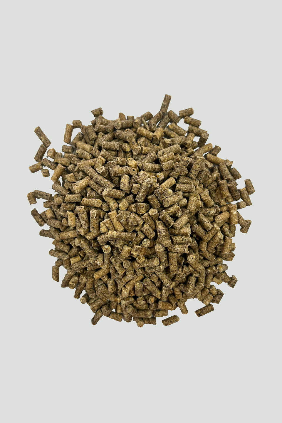 Horse Silver Fattrici (Briganti) - Miniatura 2