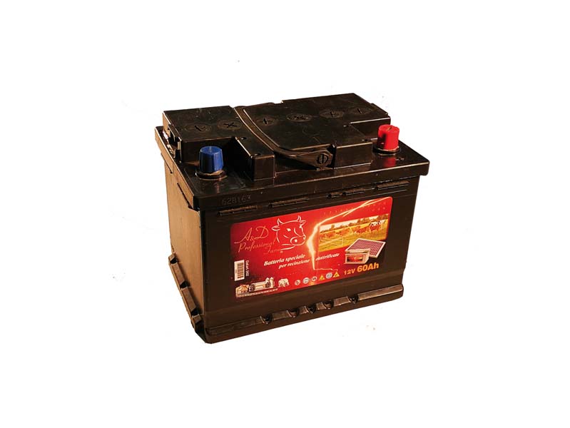 BATTERIA 12 V ricaricabile x elettrificatori - 