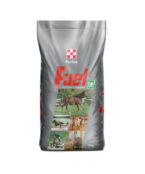 HORSE STARR - Purina