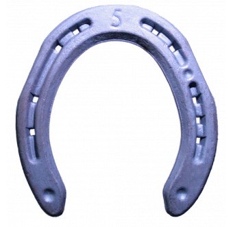 FERRO ITALIANO da SELLA (FIFPE) - Miniatura 2