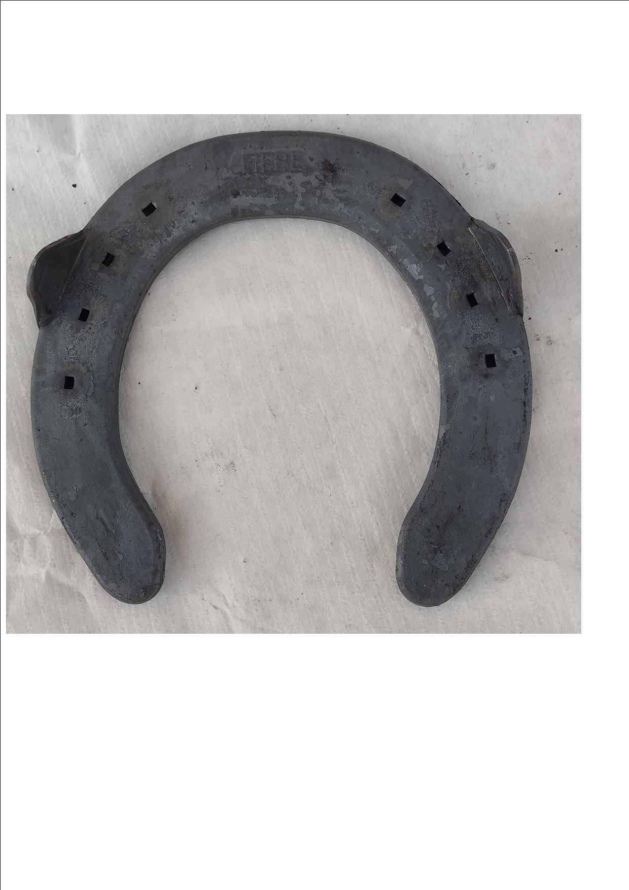 FERRO SELLA anteriore mod. EURO 2 barbette (FIFPE) - Miniatura 2