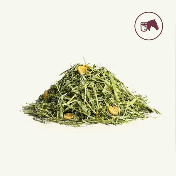 EASY BOOST - CORTALHORSE