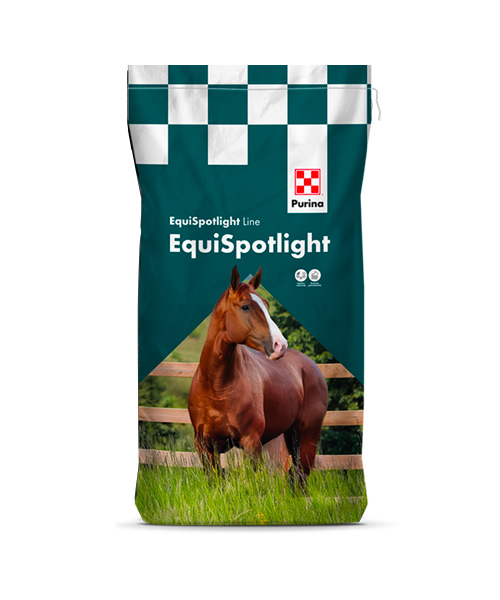 ACTIVE- Linea Equispotlight - Purina