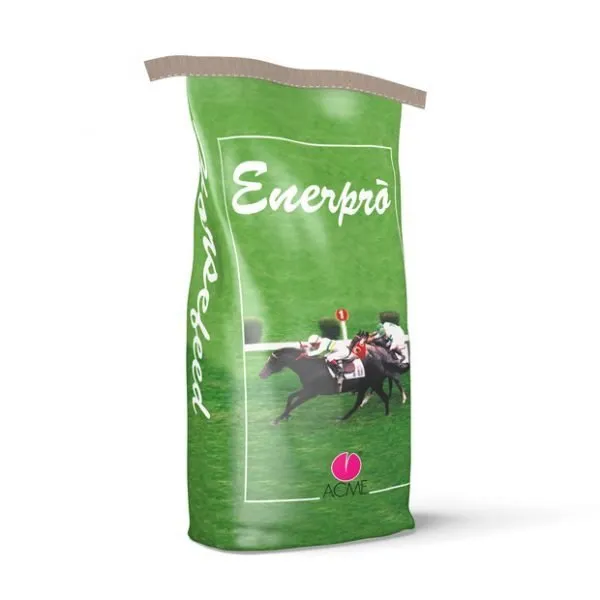 ENERPRO - 