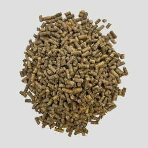 Silver Horse BALANCER (Briganti) - Miniatura 2