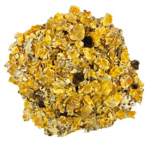 Briganti EA200 (Briganti) - Miniatura 2