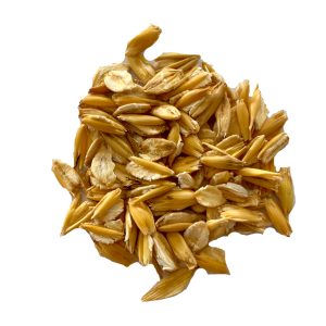 AVENA FIOCCATA (Briganti) - Miniatura 2