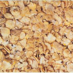 SOYA FIOCCATA (Briganti) - Miniatura 2