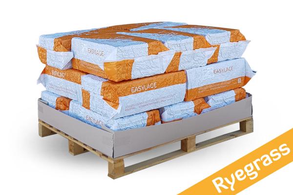 FIENO UMIDO-SILO EASYLAGE-Ryegrass (Easy Lage) - Miniatura 2