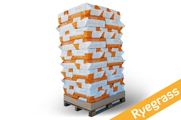 FIENO UMIDO-SILO EASYLAGE-Ryegrass (Easy Lage) - Miniatura 3